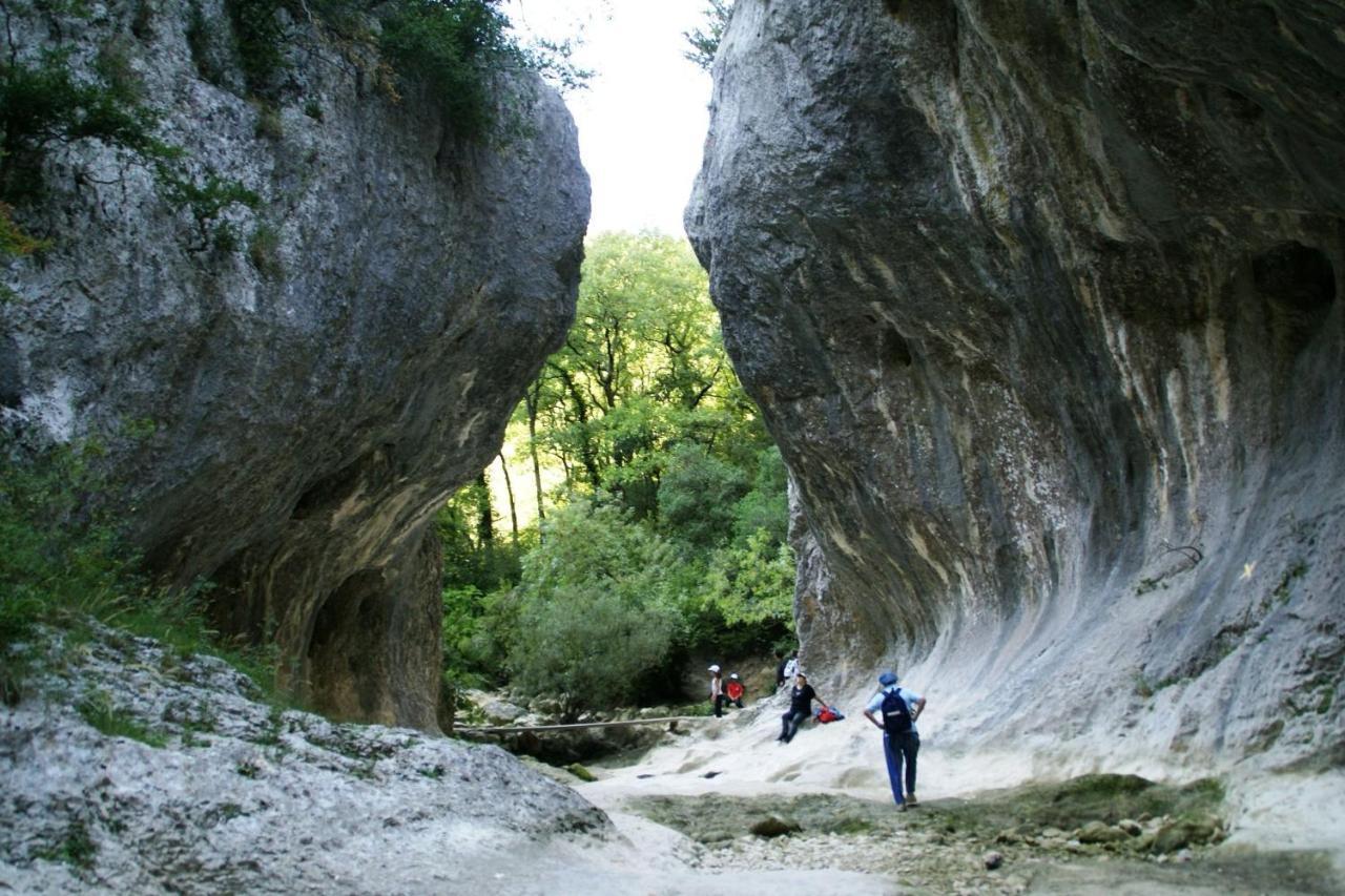 Gite Des Oliviers La Roque-sur-Ceze Exterior photo